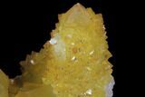 Sunshine Cactus Quartz Crystal - South Africa #96263-2